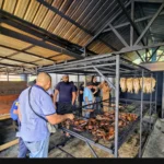 Onzekerheid over prijsdaling vis en lage padieprijs in Suriname